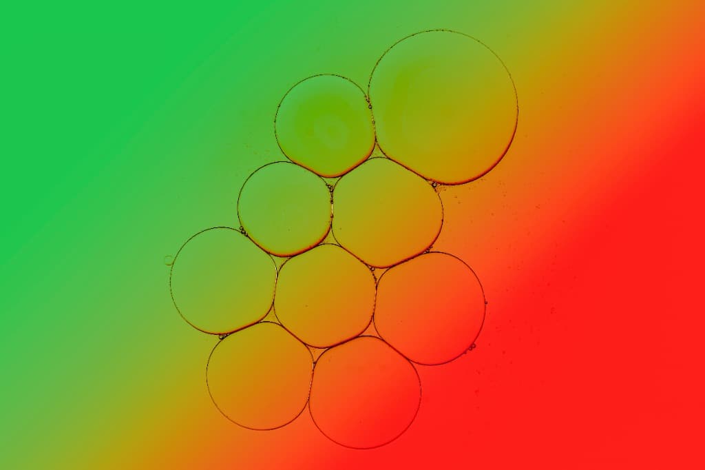 Veteriner Anestezi Güvenliği Protokolleri