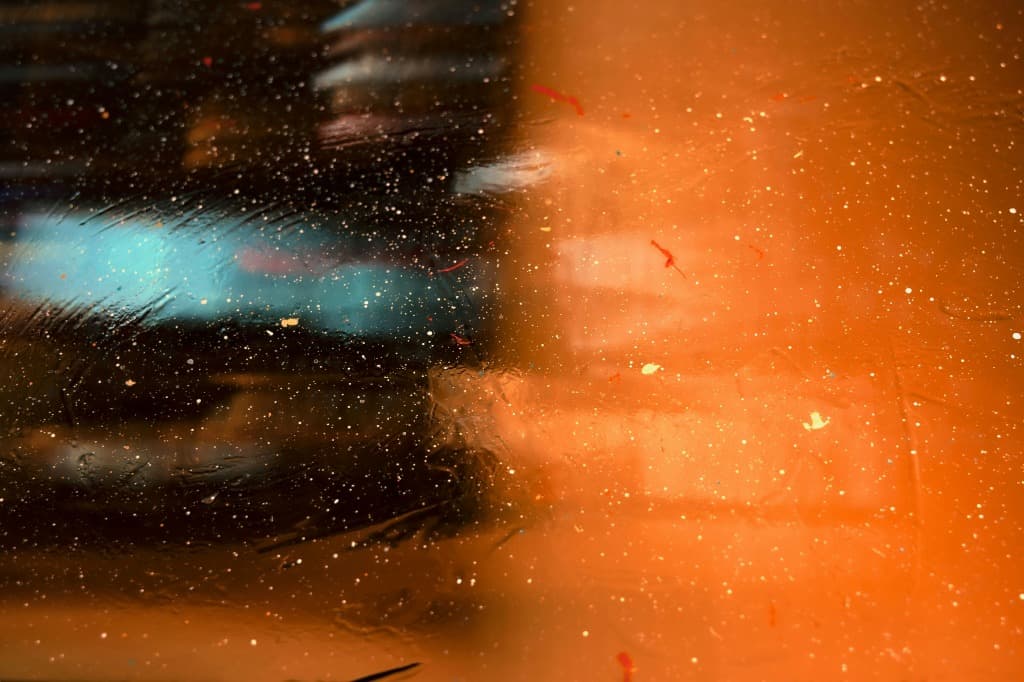 Veterinary Radiography Technician Guide