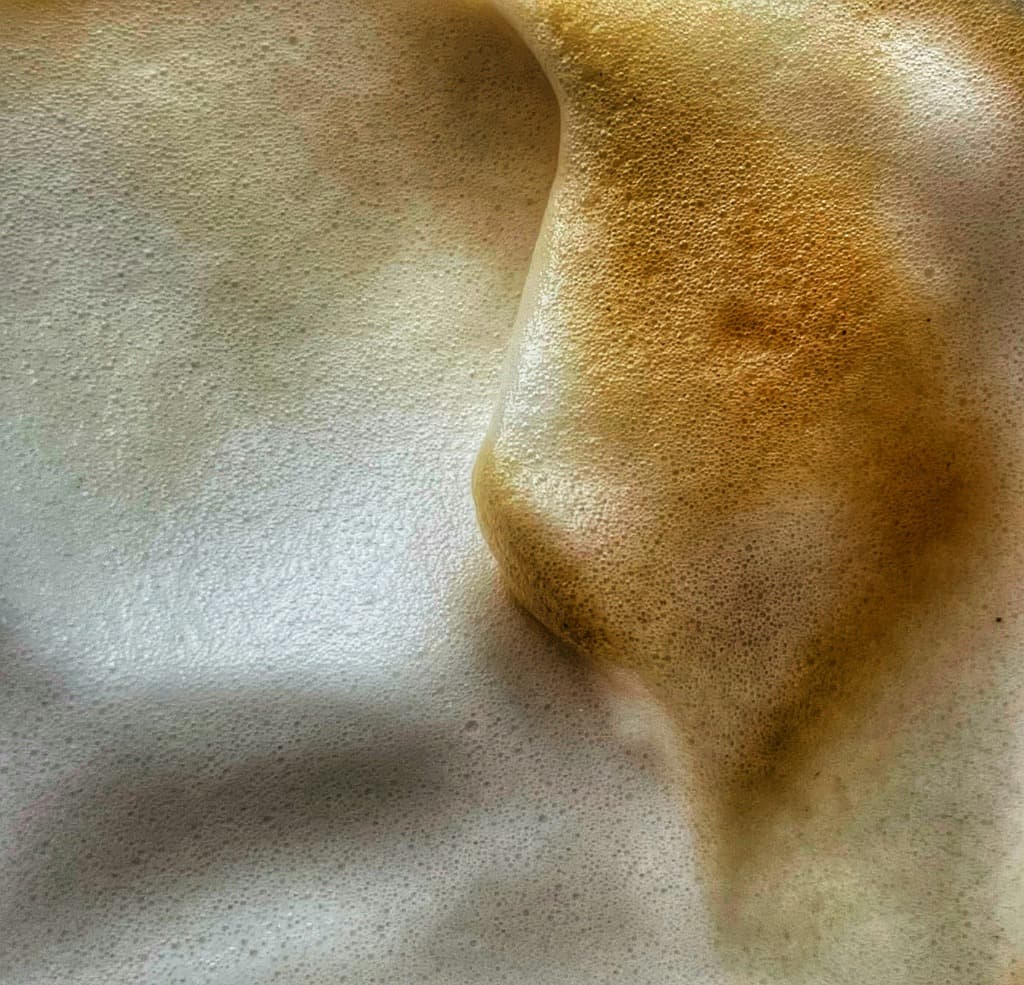 Veteriner Laboratuvar Sonuçları Yorumlama Rehberi