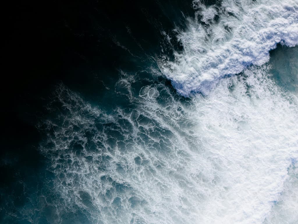 Multi-Language AI Support: The Differentiating Feature in Veterinary Software