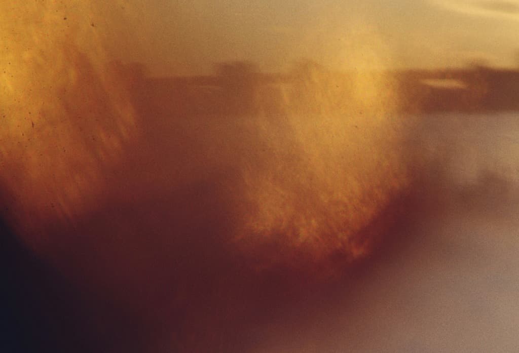 Veteriner Kliniklerde KVKK ve Veri Güvenliği