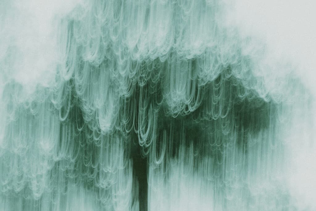 Telemedicine: Uzaktan Veteriner Hizmetleri Rehberi