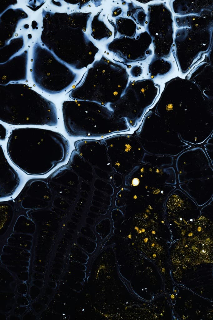 Dog Health Check Guide: Checks by Age and Breed