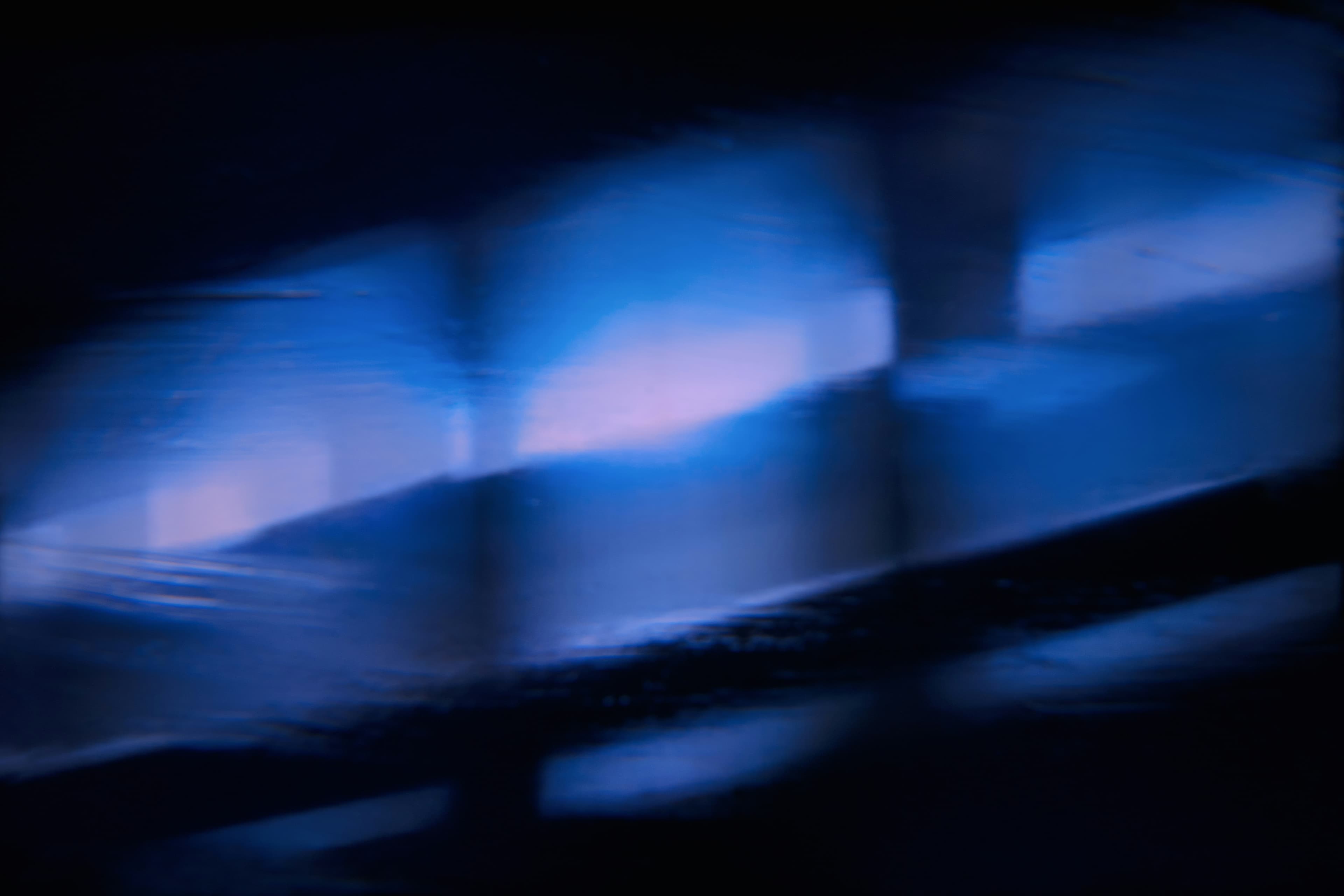 AI-Powered Diagnostics in Veterinary Medicine: The Complete 2026 Guide