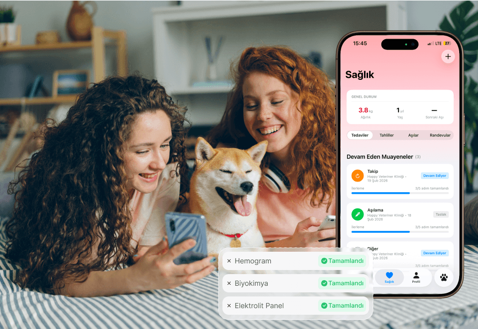 PetConnect health history screen