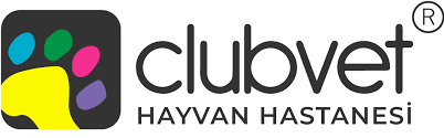 Clubvet® Hayvan Hastanesi